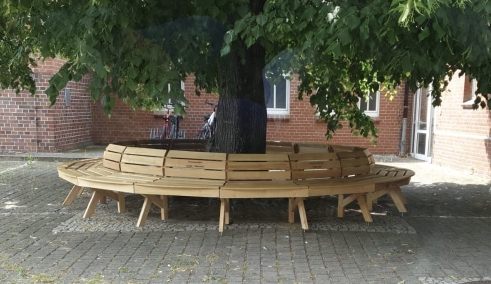 Bobbauer Zuckertütenbaum